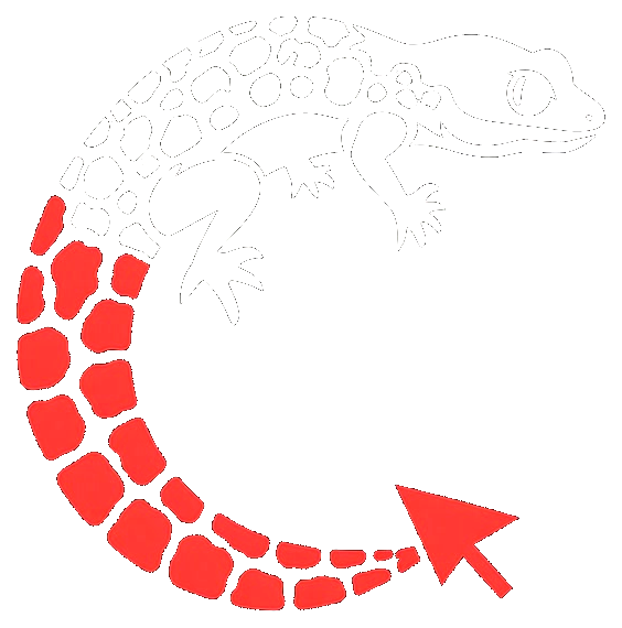 Custard the gecko